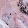 Close-up of Yellowstone River\'s Pastel Cliffs with Trees, 192