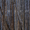 Fire Snags, Trunk Pattern, 249