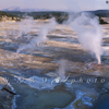 Porcelain Basin Geysers & Steam Vents with Mount Holms, 366