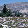 Browns Peak, Boulders in Foreground, 21