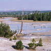 Porcelain Basin Crackling Lake, Snags, 395