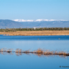 Hutton Lakes Wildlife Refuge & Two Geese, Snowies