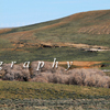 Foot Creek Rim WInd Farm to the East of Ranch Land, 390513_190
