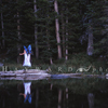Forest Fairy, One