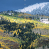 Frosted Pines, Aspen, Steamboat Springs