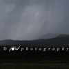Rain, Lightening on Shirley Mountains\' East Slopes, 390519_1023