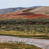 Swollen Little Medicine Bow River, Red Sandstone, 390519_1077