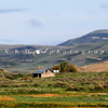 Small Ranch Barn with Battle Mountain Behind, 390526_0126