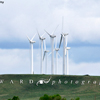 Group of Turbines at Foote Creek Rim Wind Farm, 390609_214