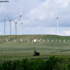 Turbines, Old WInd Mill, Foote Creek Rim WInd Farm, 390609_239