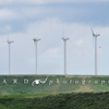 A Row of Turbines at Foote Creek Rim Wind Farm, 390609_256