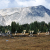 Snowy Mountains From the Right Of Ice Pond, 056_BevDay