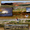 Photo Composite from Wind Farm Movie