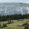 Browns Peak, Tundra, Krumholtz, Green Foliage, 400801_028